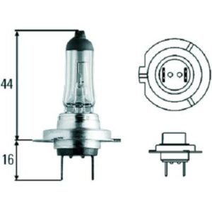 H7 Glühlampe